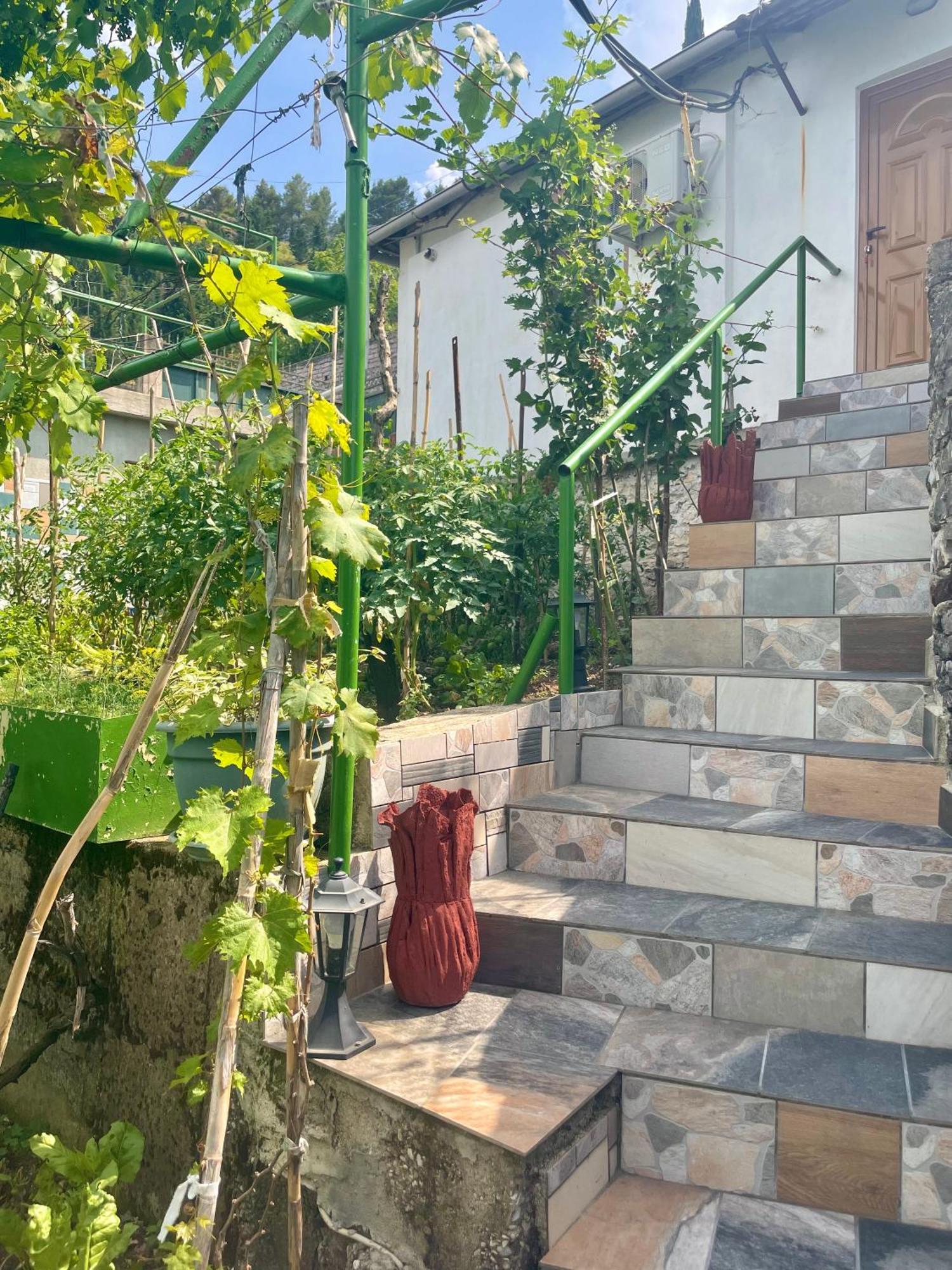 Panoramic View Guest House Gjirokastra Zewnętrze zdjęcie